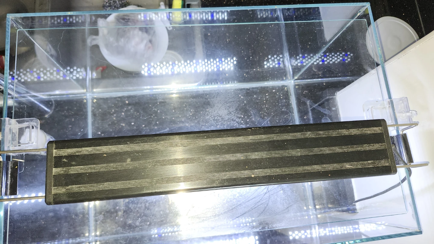 15 gallon rimless aquarium - photo 5