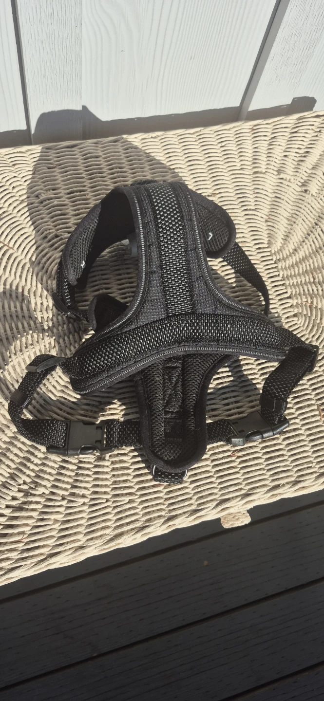 Large Top Paw Dog Harness