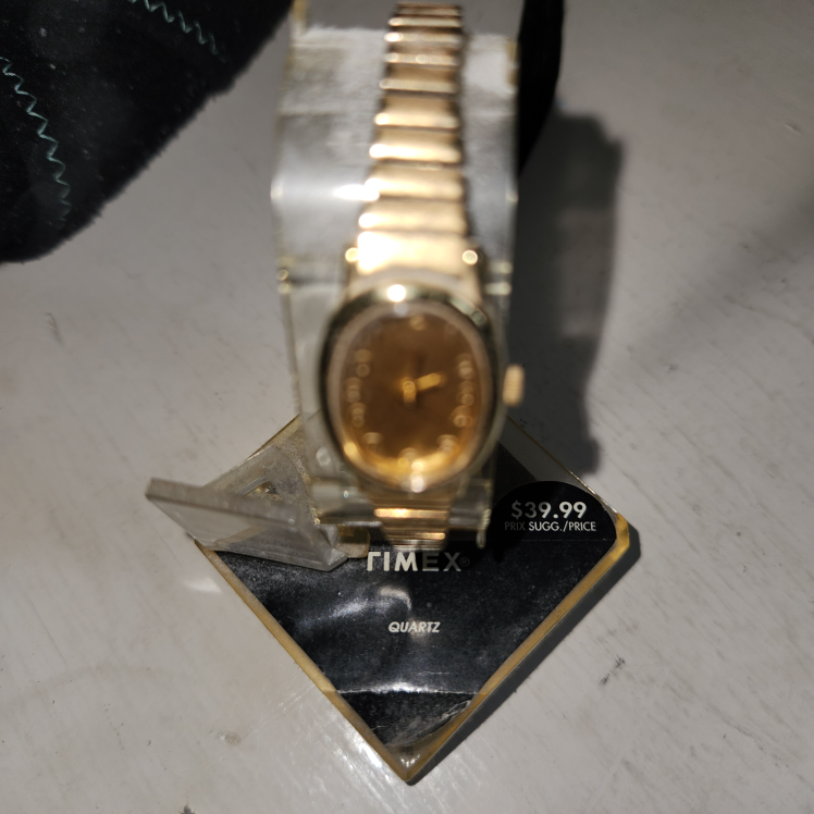Timex Quartz Watch