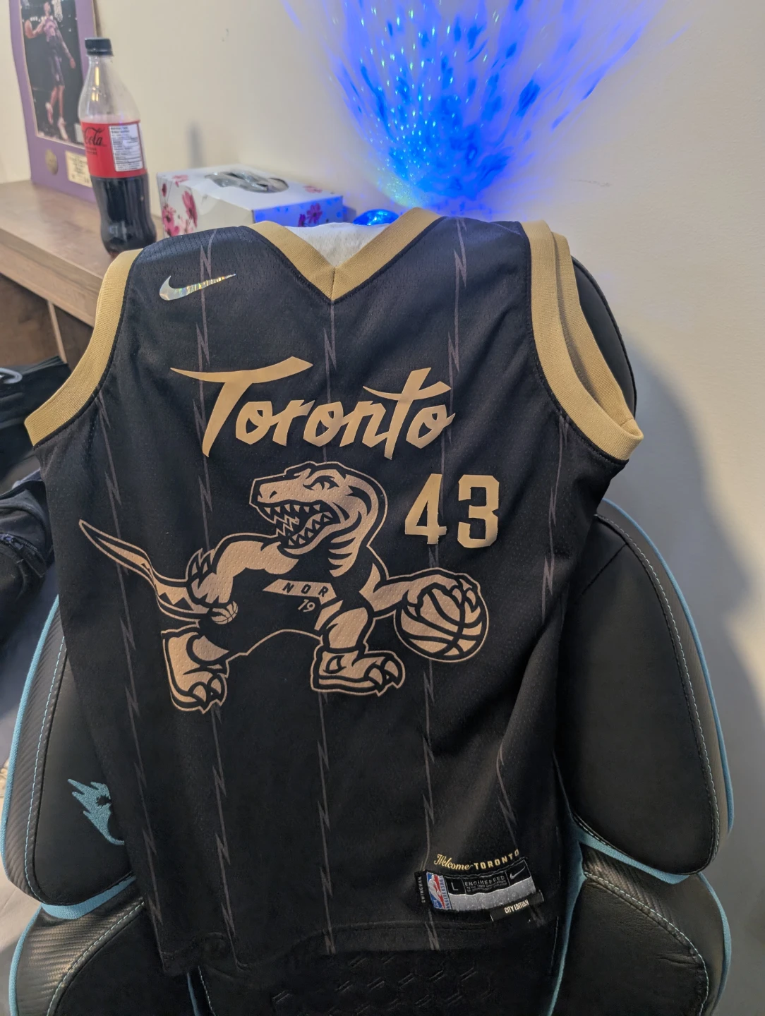 pascal siakam jersey