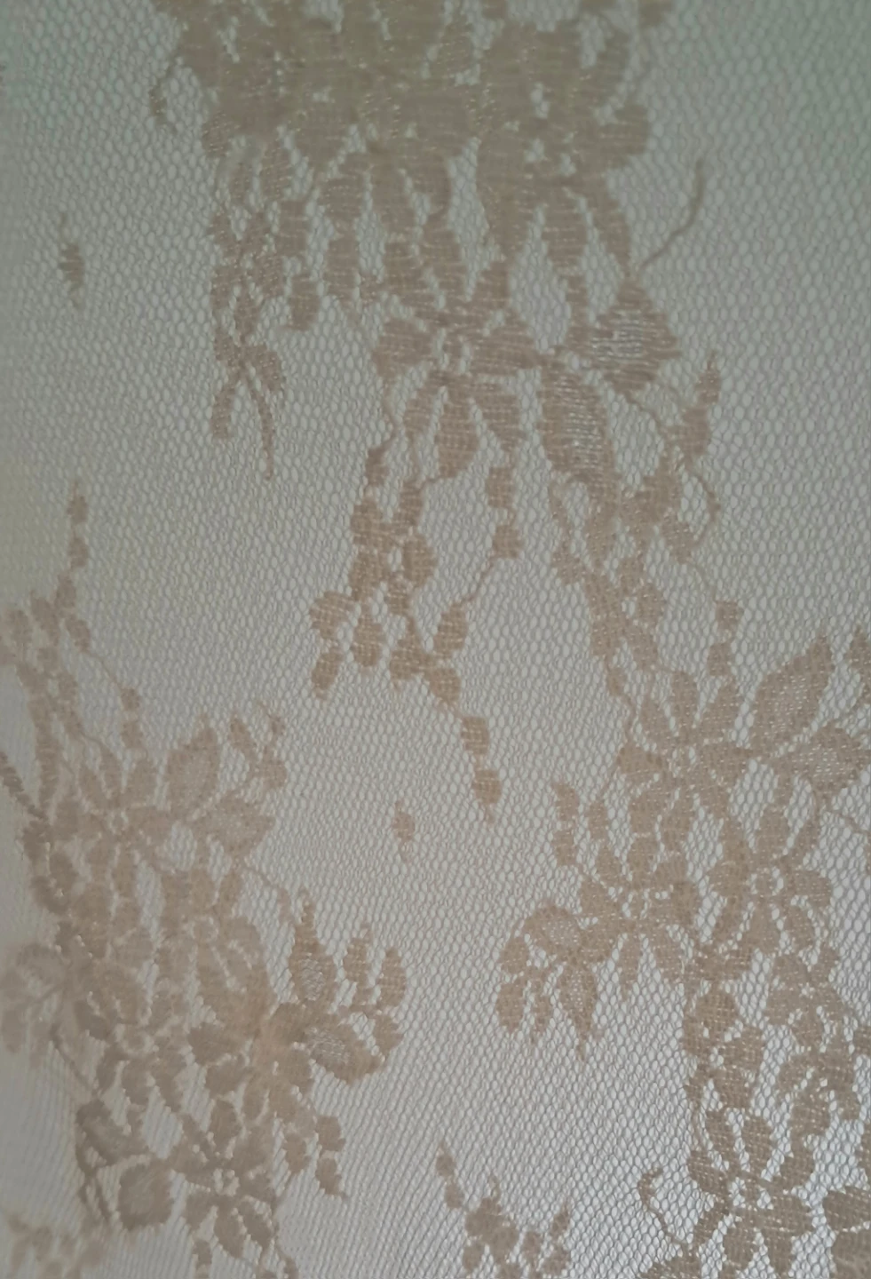 Sheer Lace Long Sleeve Top - Beige - photo 2
