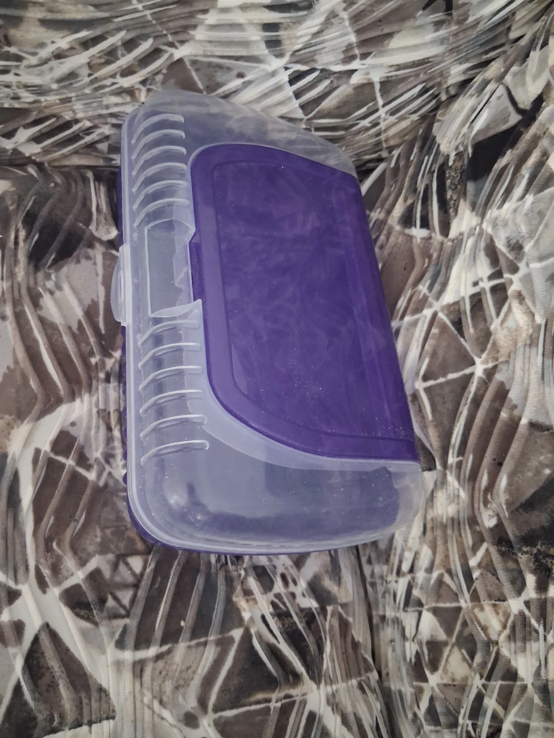 Purple and clear plastic storage container