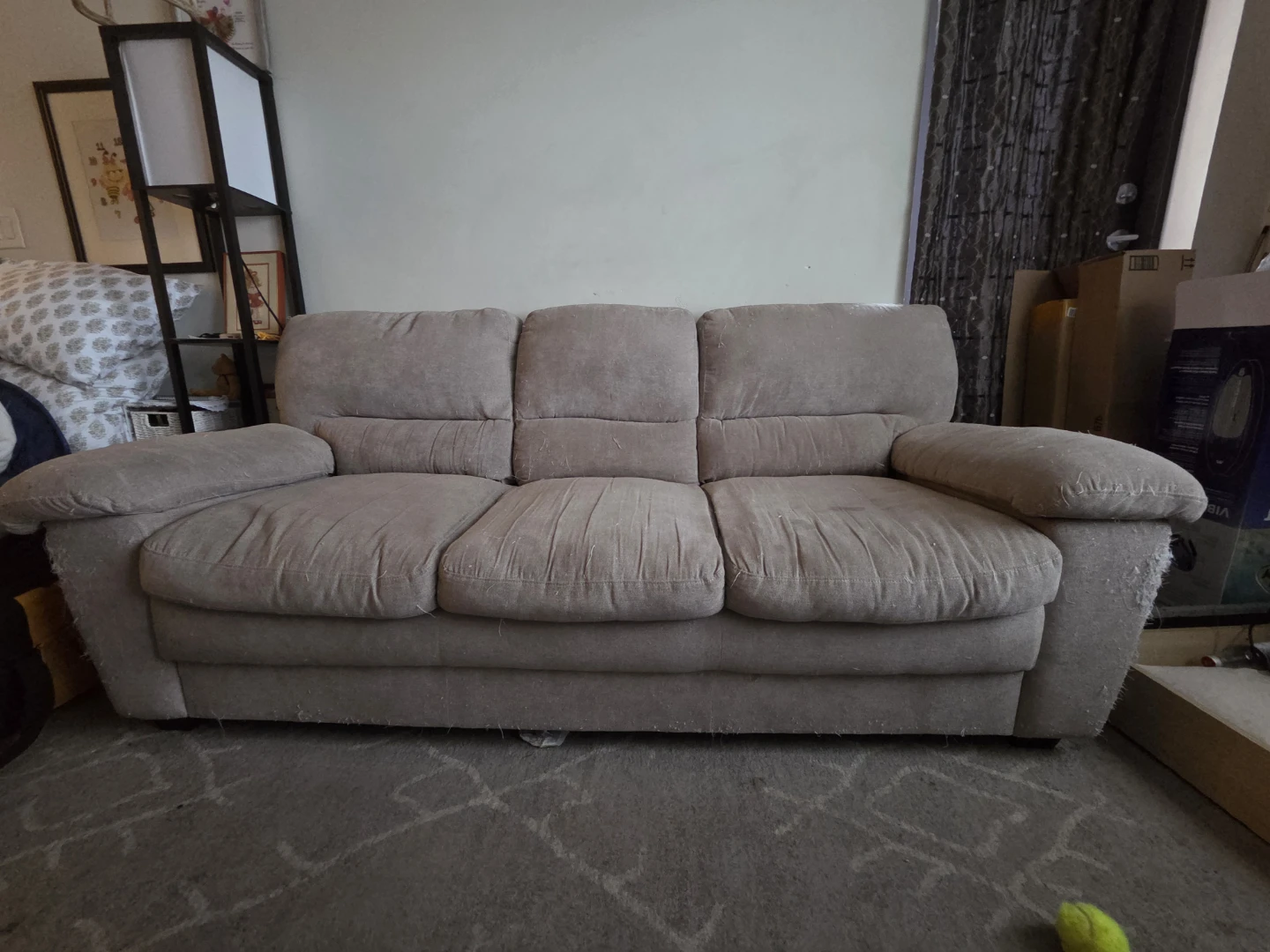 Free couch/sofa