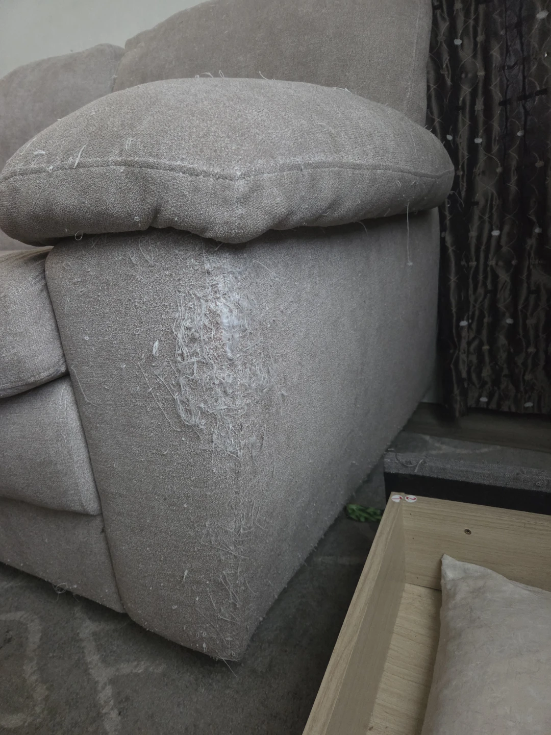 Free couch/sofa - photo 2