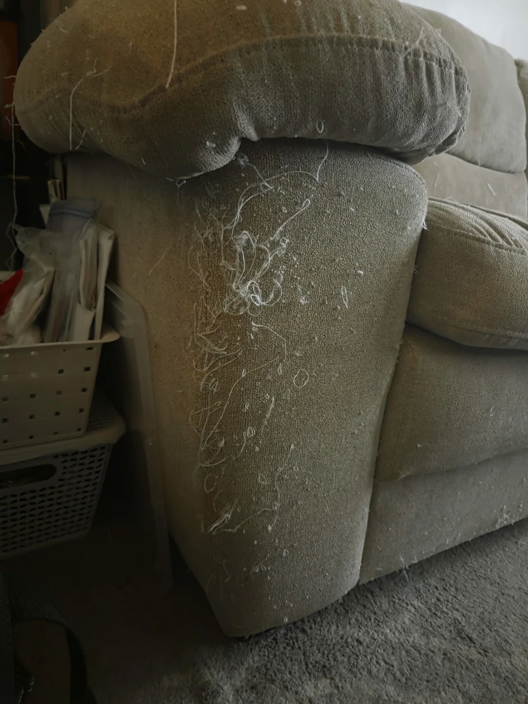Free couch/sofa - photo 3