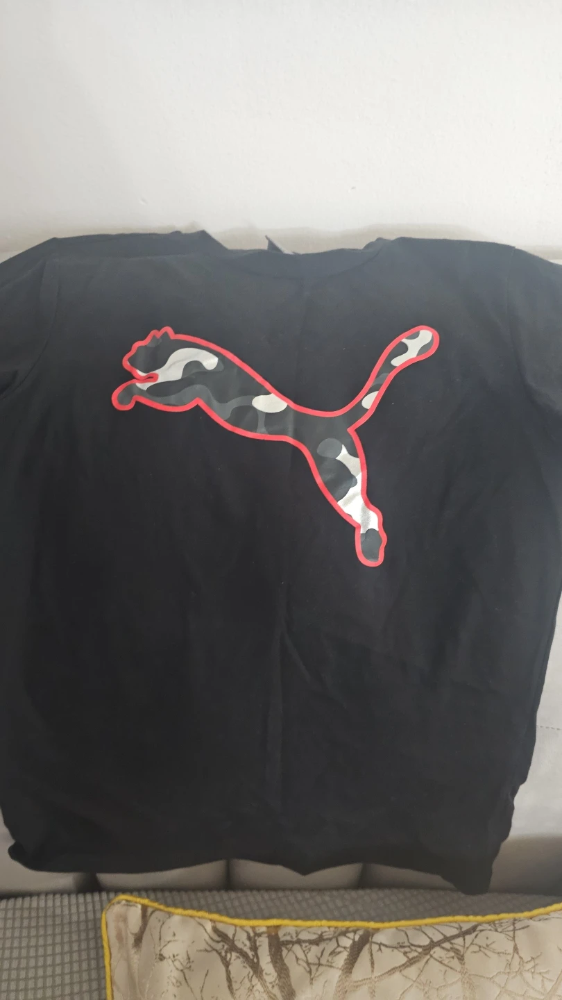 Puma