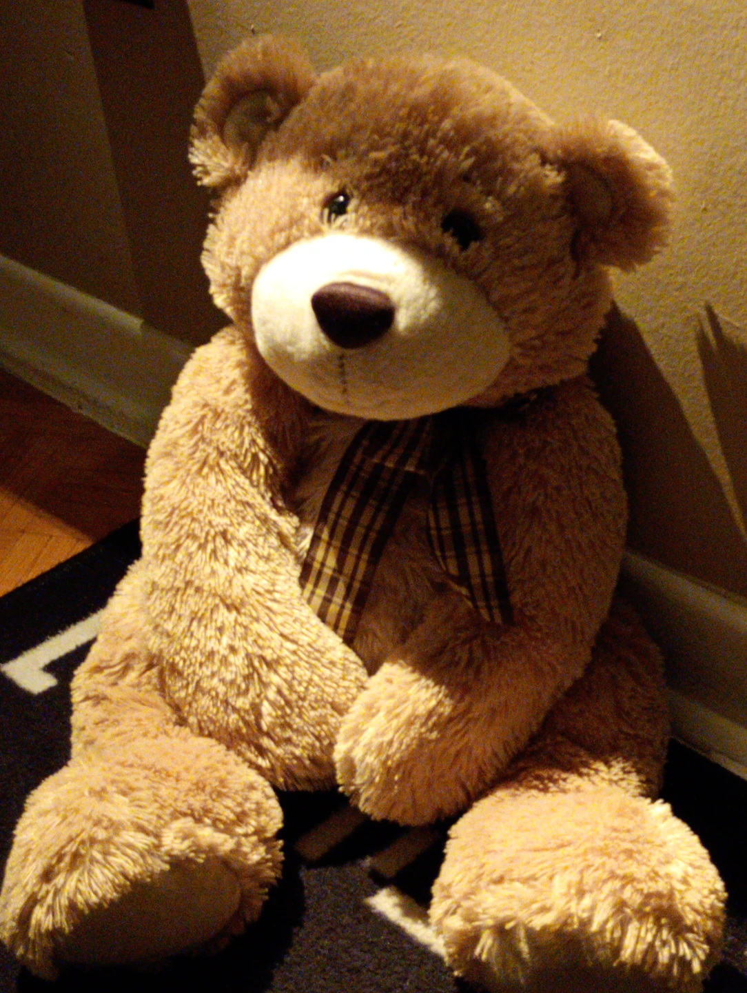 Plush Teddy Bear