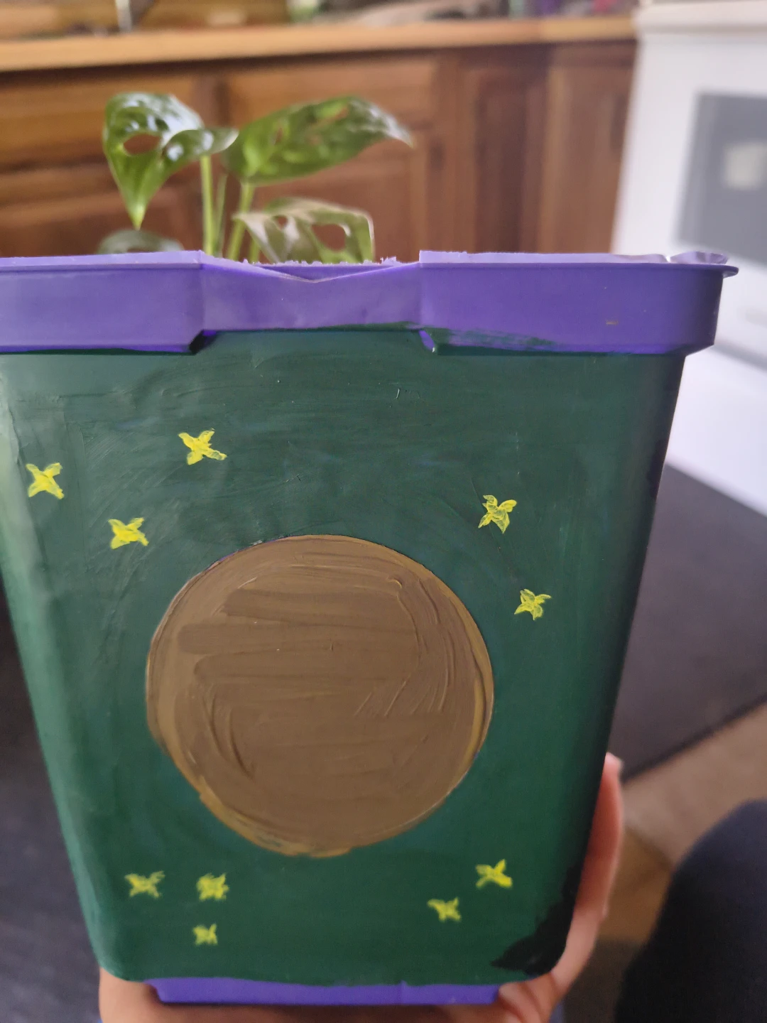 Small Monstera Plant in Hand-Painted Moon Cycles Pot - photo 4