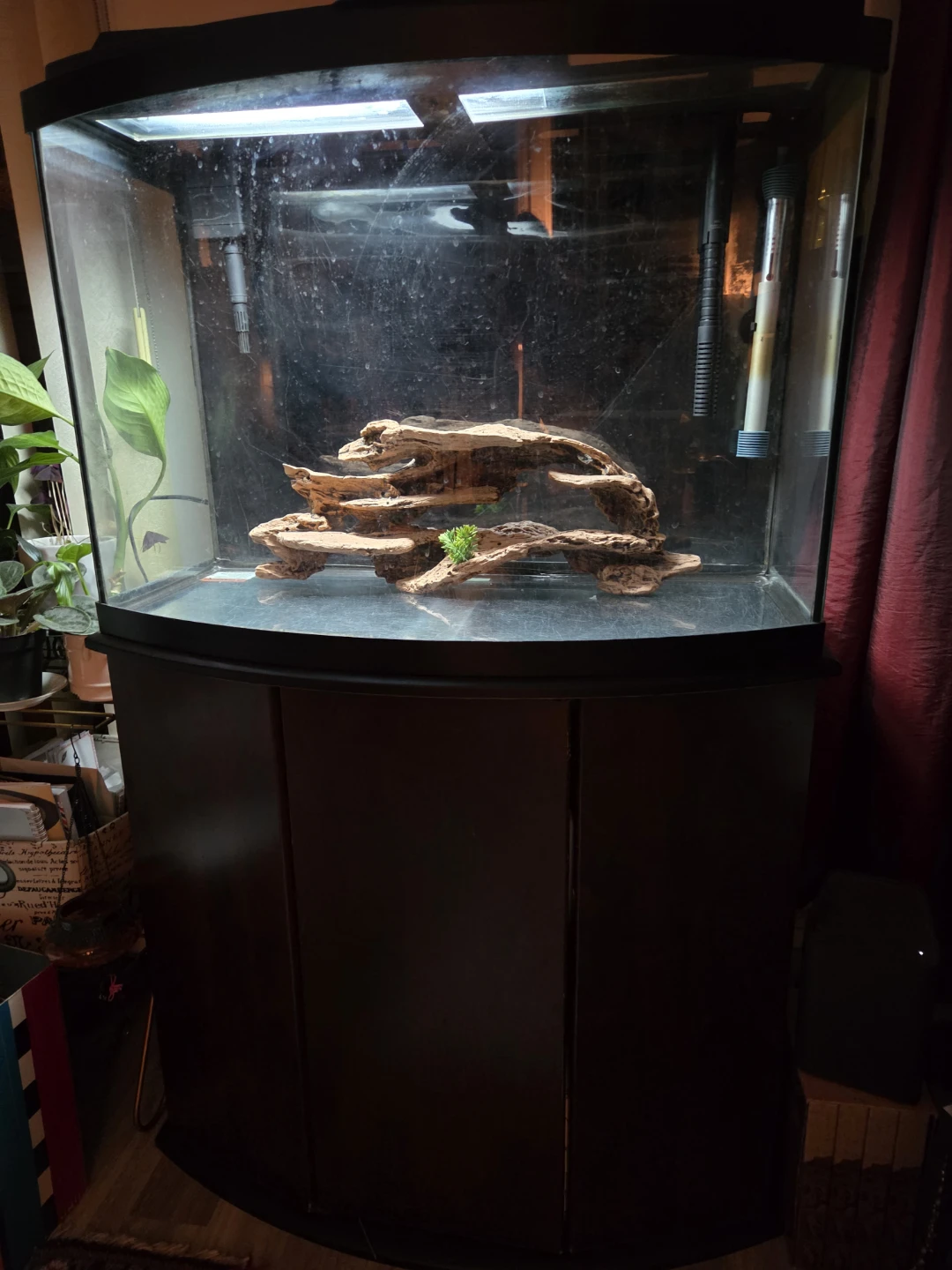Aquarium and accessories for sale $ 175