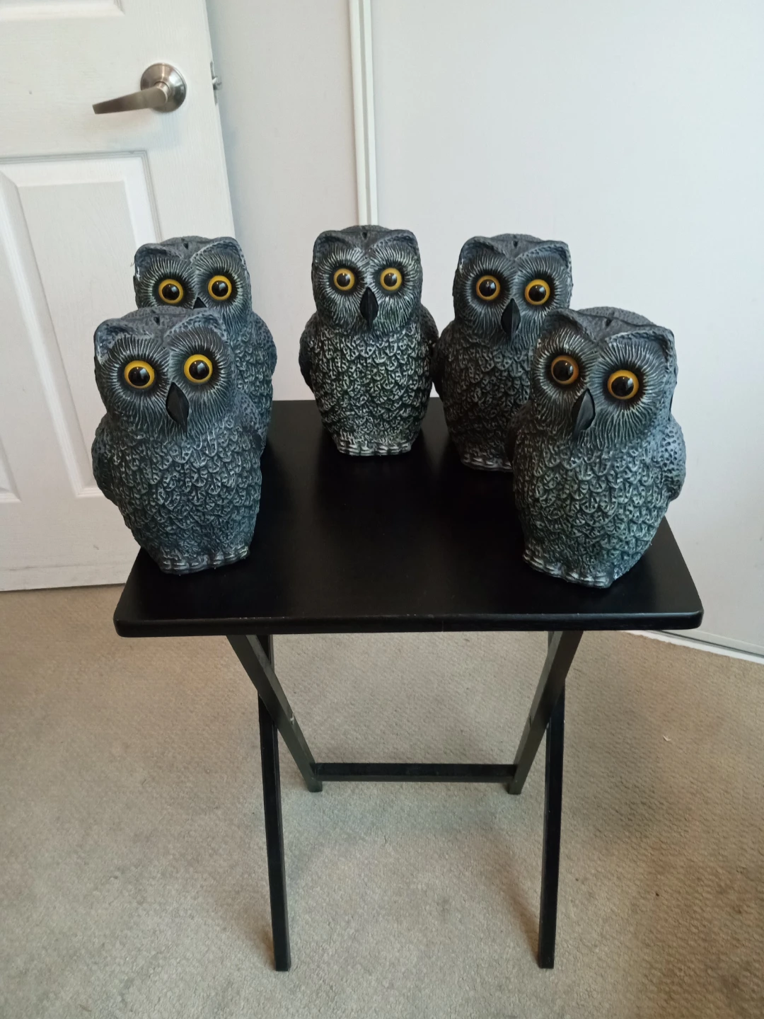 Owl Scarecrow 9" H4P 0A1