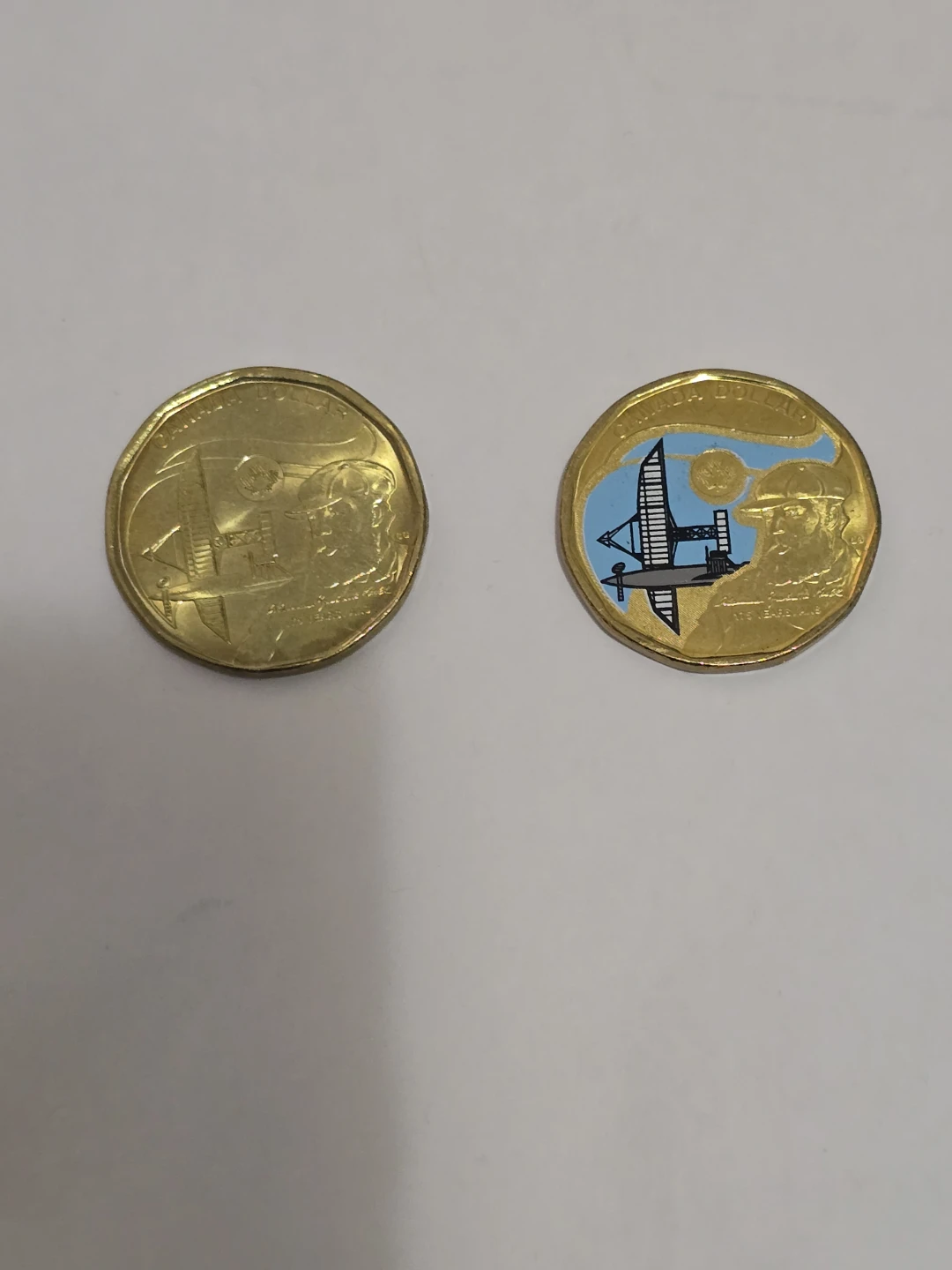Two Canadian Loonie Coins