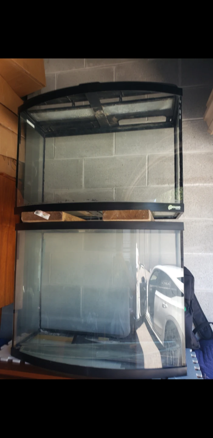 Fish Tanks Bow