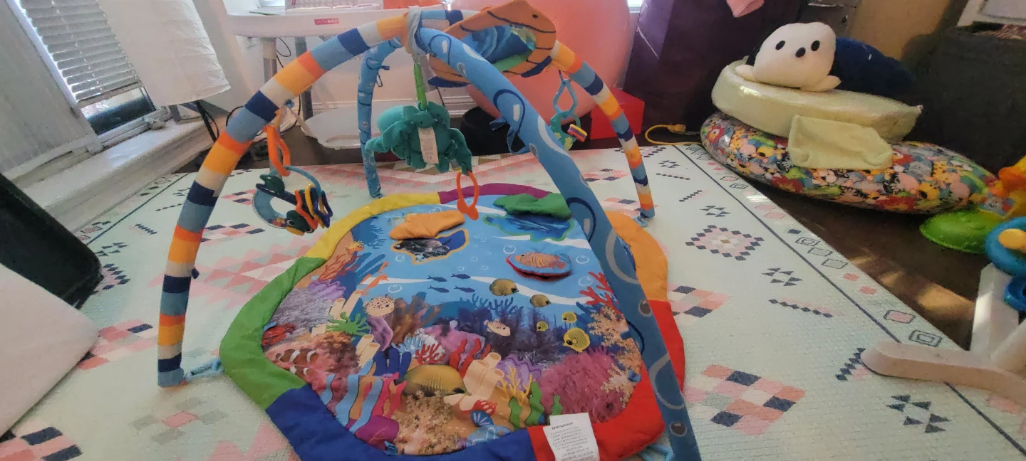 Baby Activity Gym Play Mat