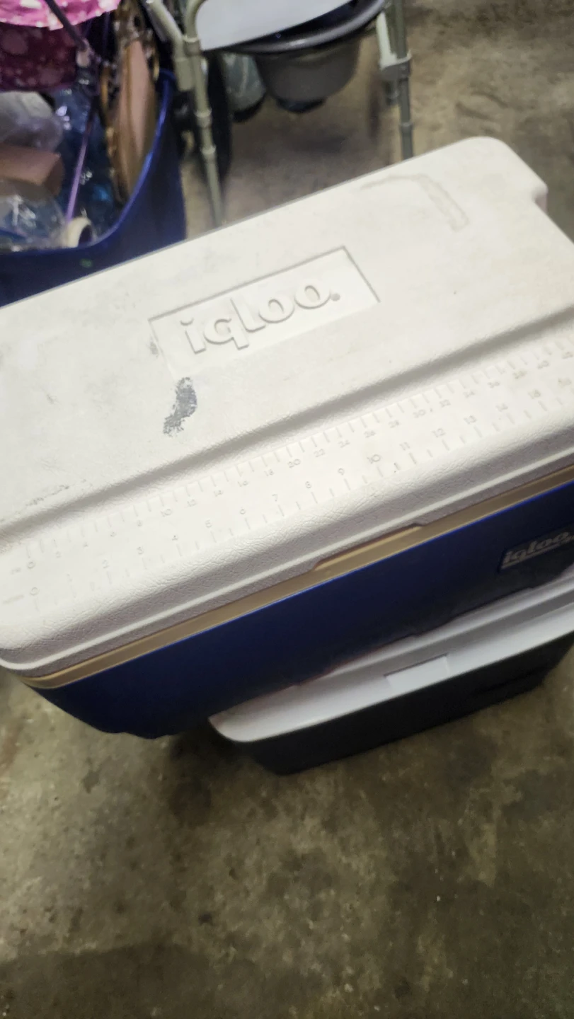 2, Igloo 40 Qt Cooler - photo 4
