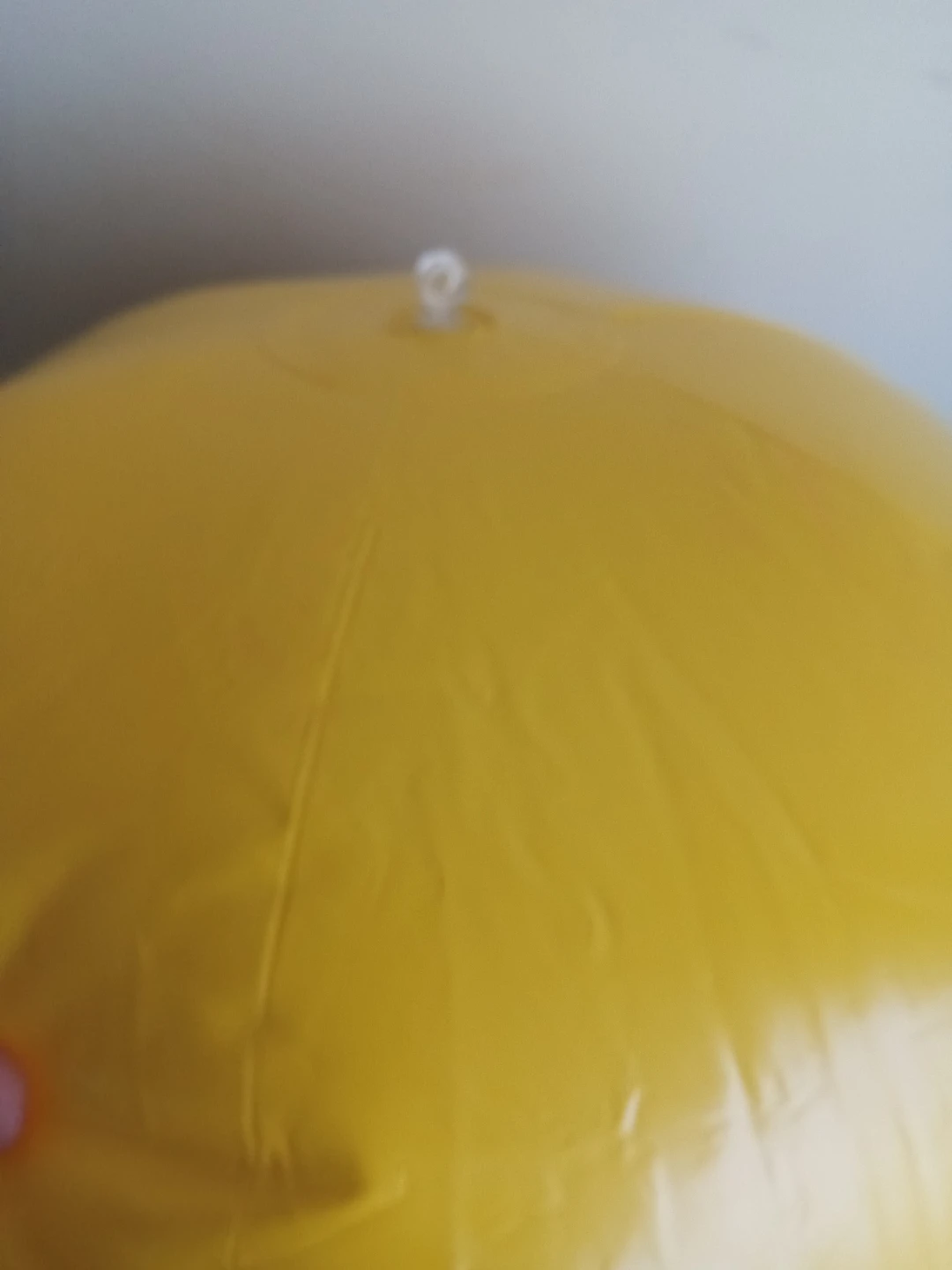 4 Scare-Eye Bird Deterrent Balloons - photo 4