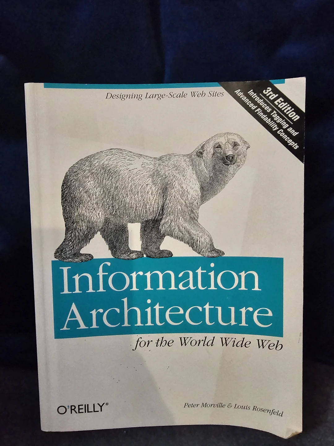 Information Architecture for the World Wide Web