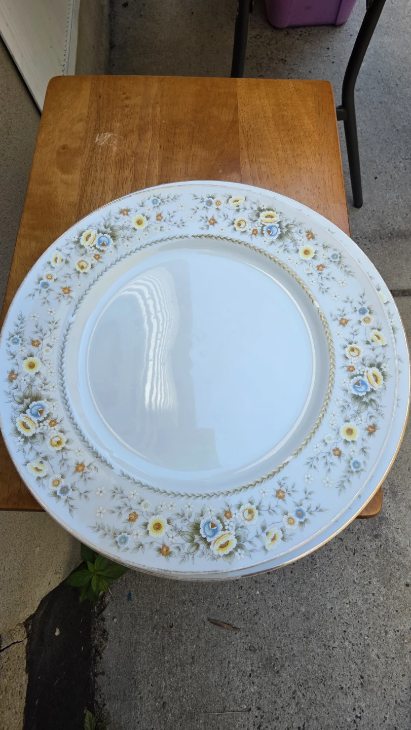 Vintage Floral Dinner Plates - Set of 7