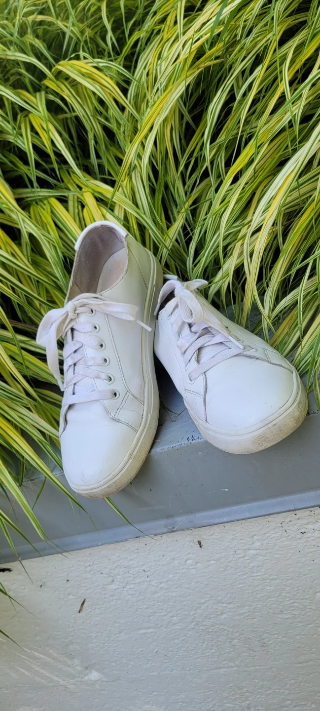 Size 8.5 womens/ 7 men's FRYE SNEAKERS - photo 3