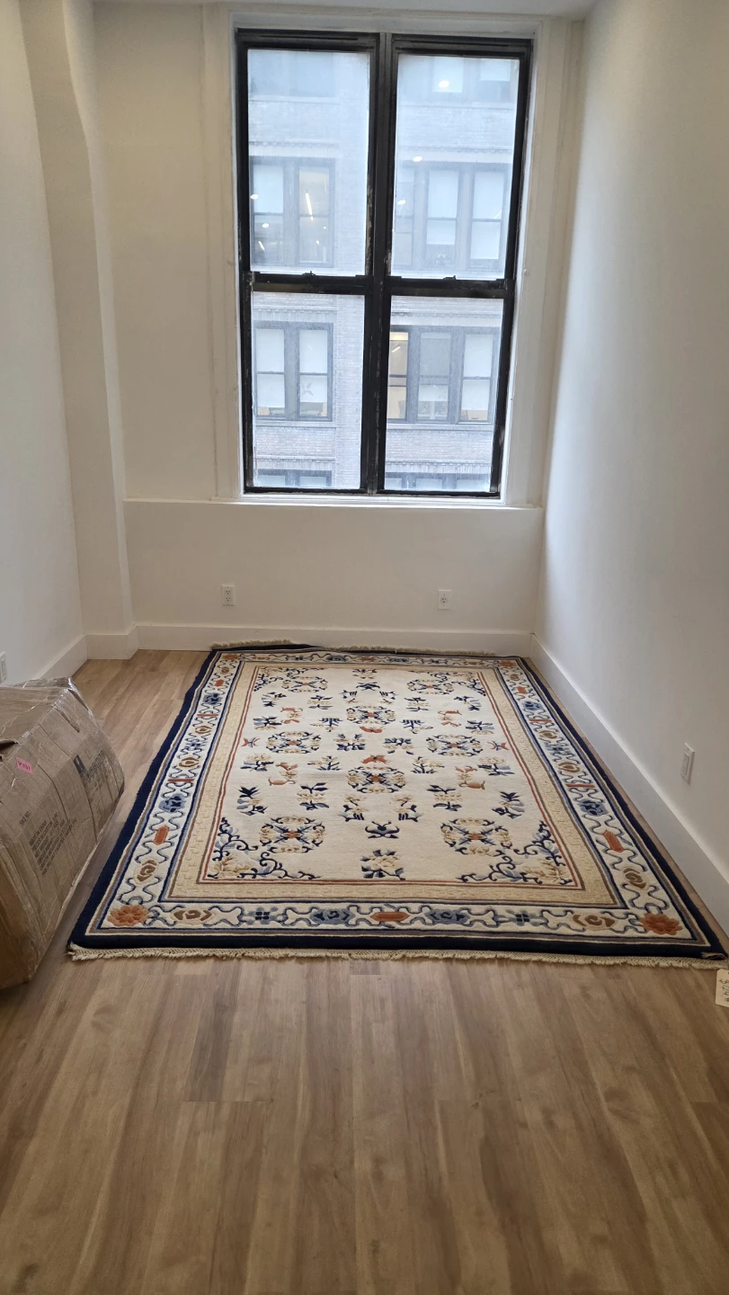 Area Rug with Traditional Pattern