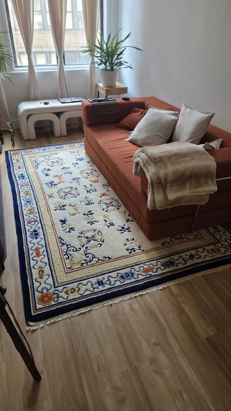 Area Rug with Traditional Pattern - photo 4