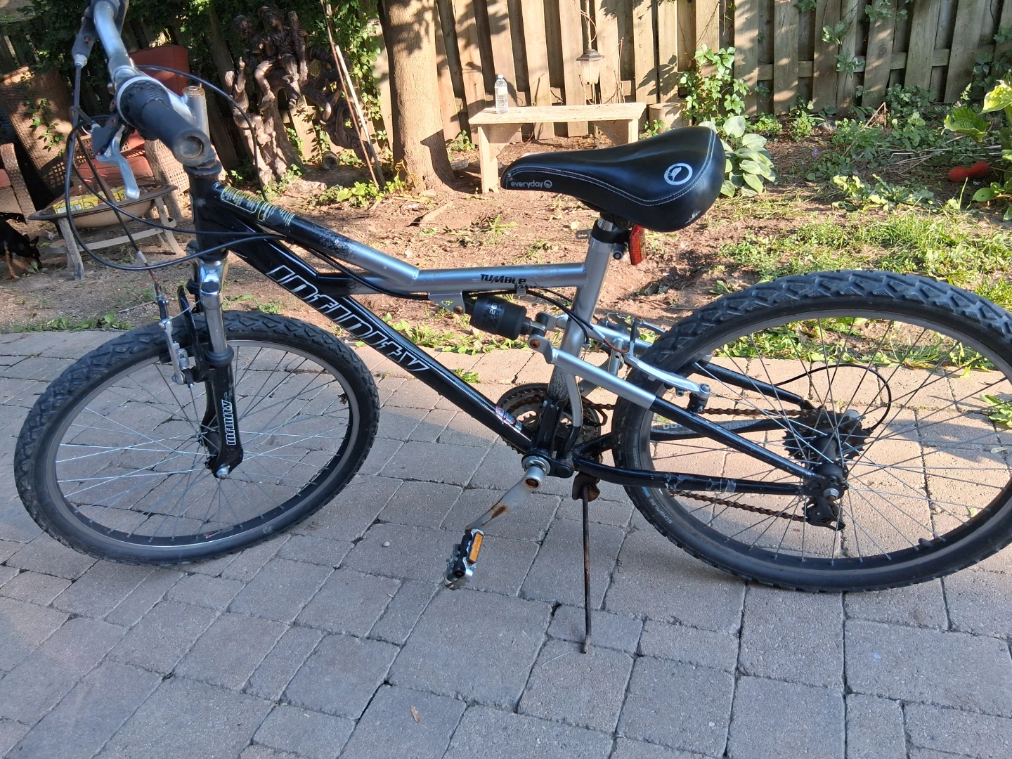 Infinity "Ripper" Mountain Bike