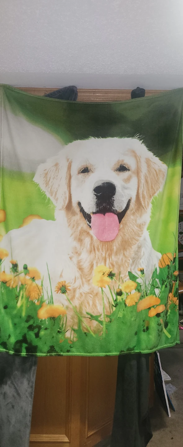Golden Retriever Dog Blanket