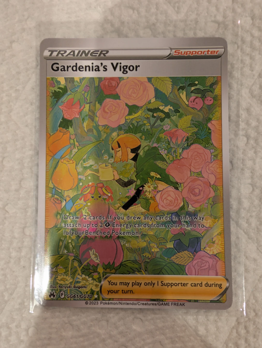 Gardenia's Vigor Crown Zenith: Galarian Gallery - photo 3