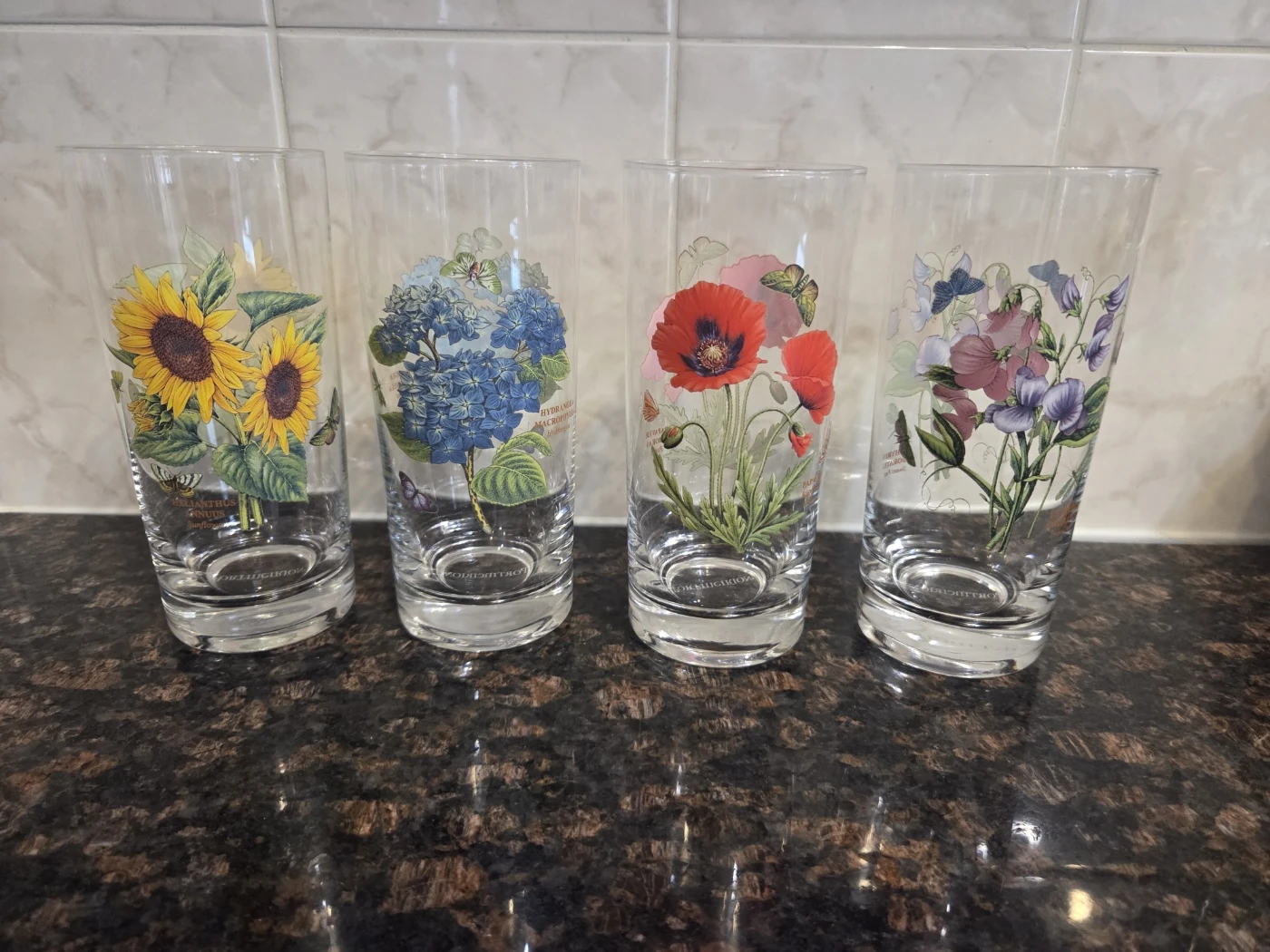 Portmeirion Botanic Garden Highball Glasses Set of 4