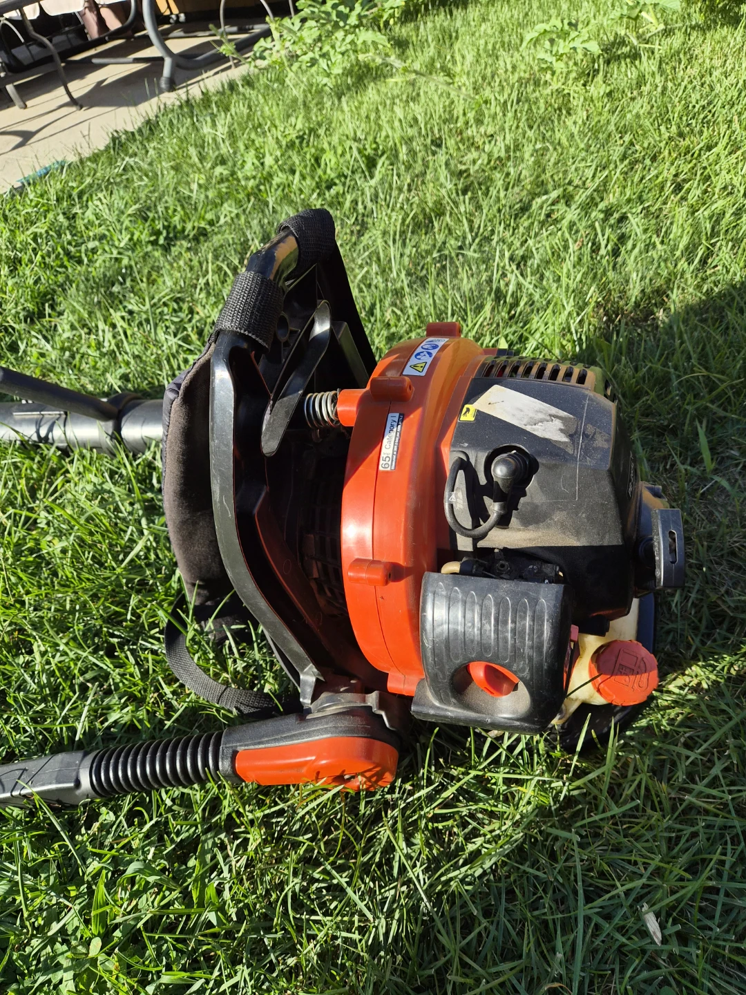 Echo PB-265LS Backpack Blower