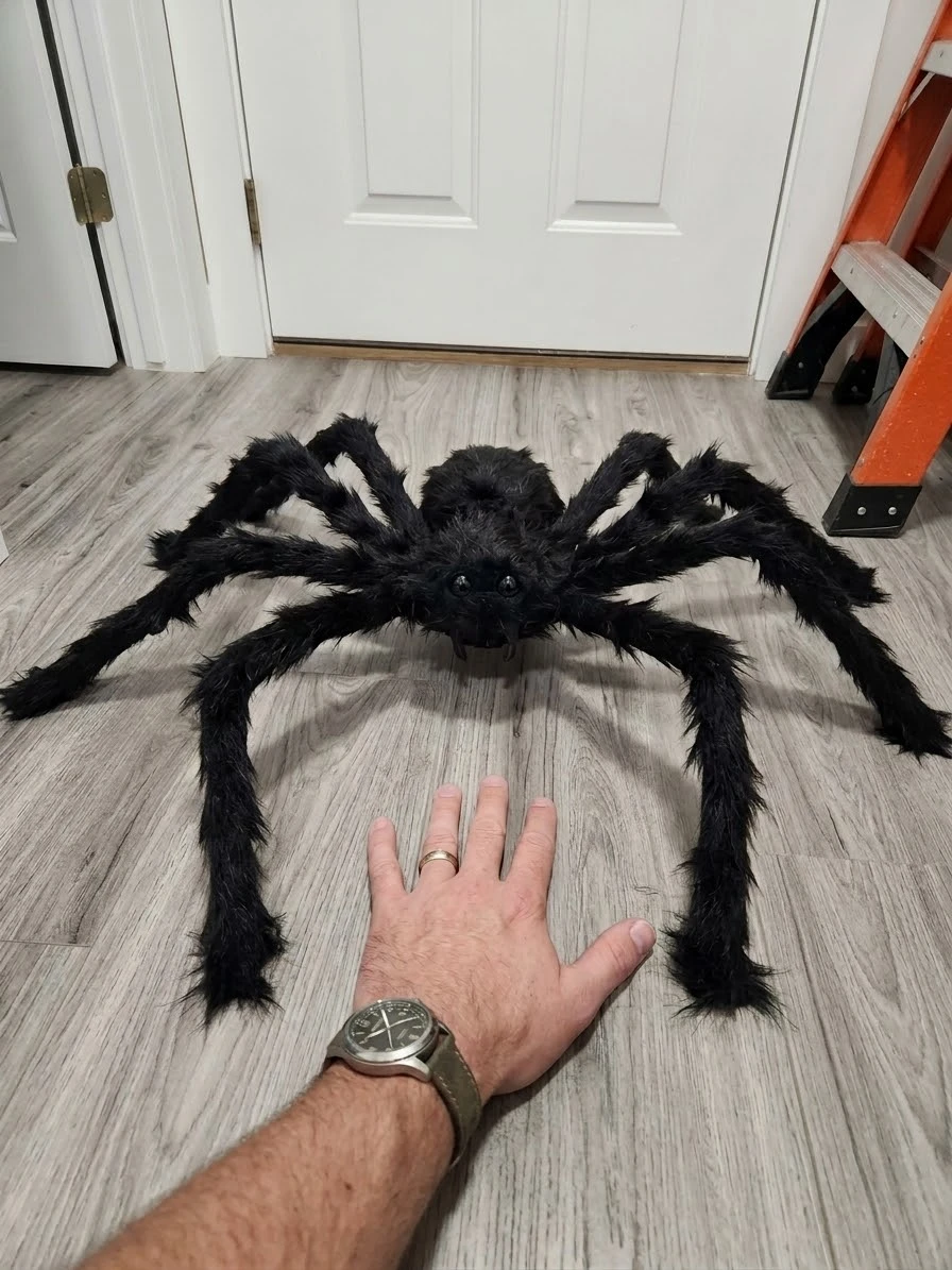 Large Black Fuzzy Spider Prop - photo 2
