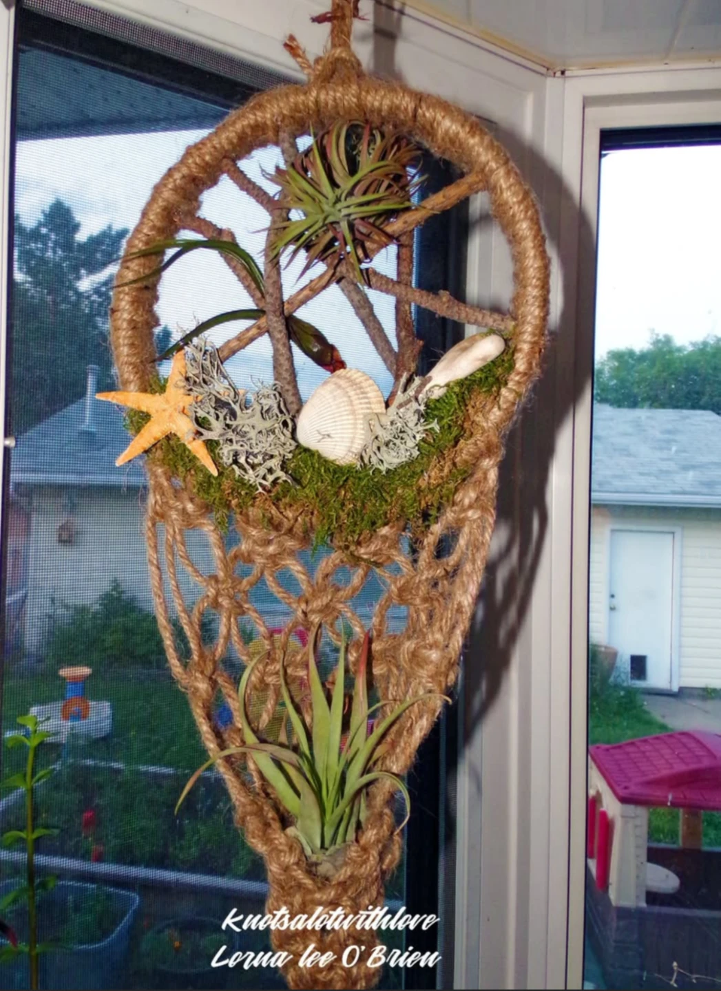 Air plant holder
