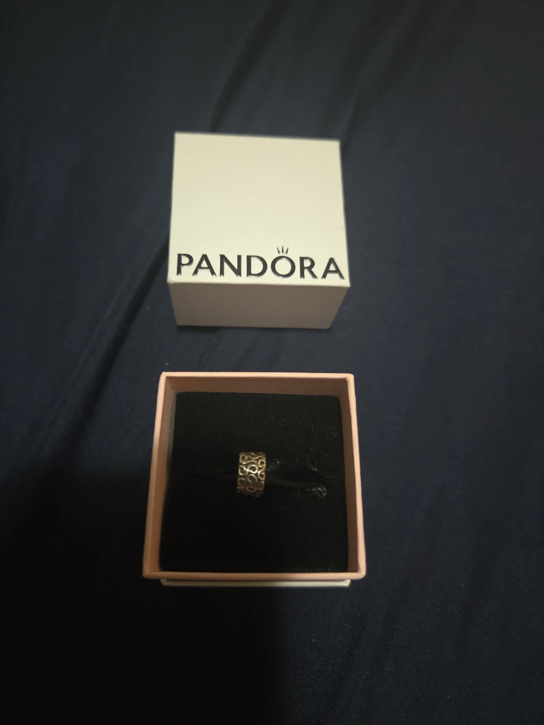 Pandora Charm