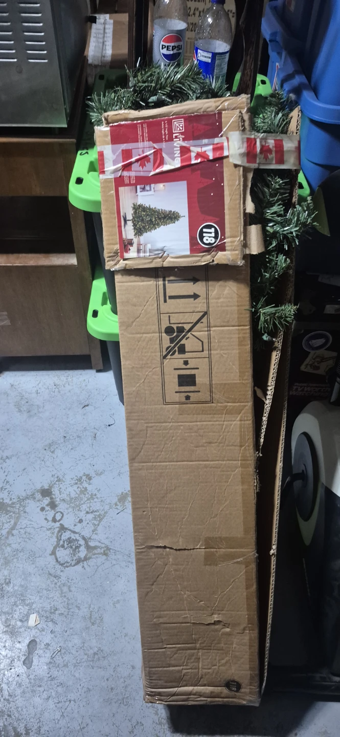 For Living 6 1/2 ft Inglis Tree