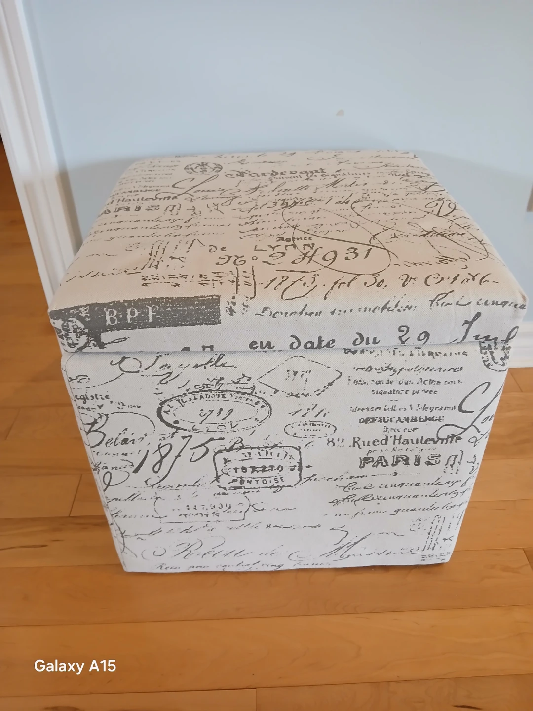 MOVING SALE - 17 x 17 x 16.5 Inches Storage Ottoman