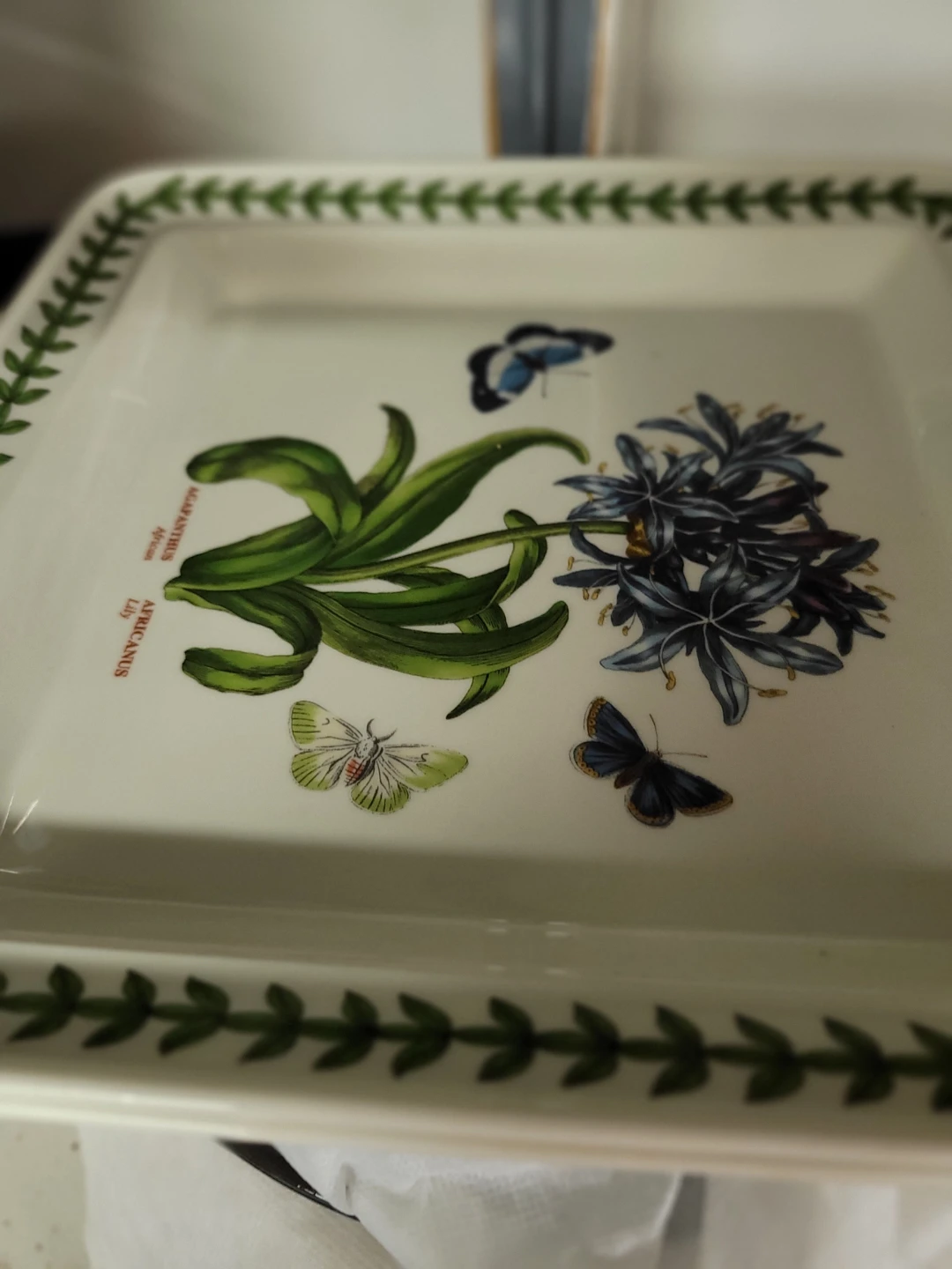Botanical Garden Rectangular Tray with Butterflies