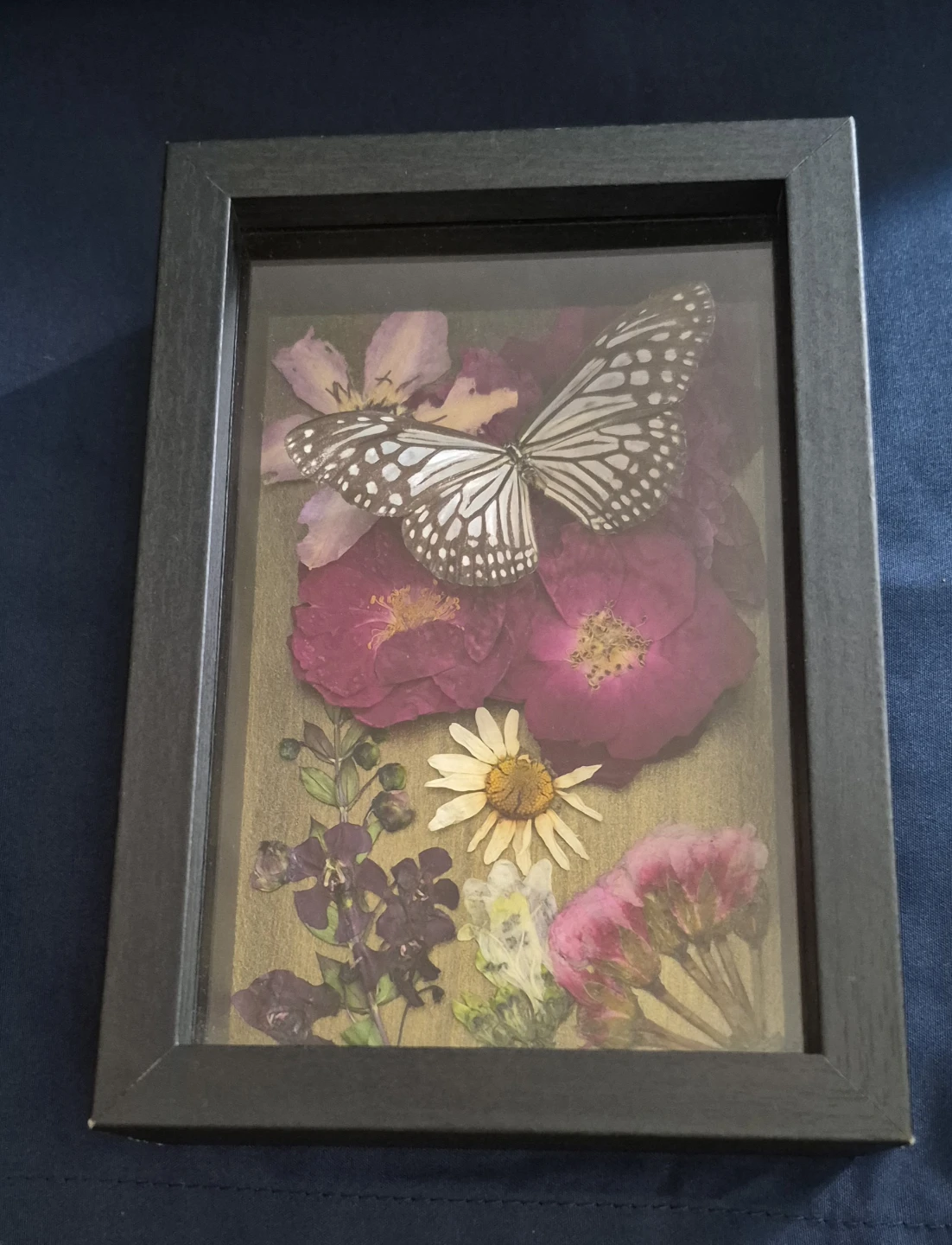 Glassy Tiger shadow box - photo 4