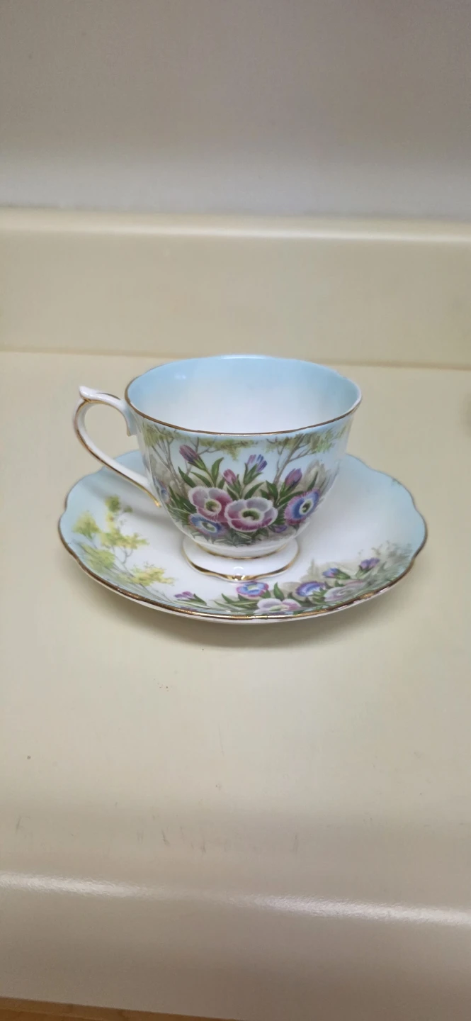 Royal Albert Fringed Gentian Teacup and Saucer Set