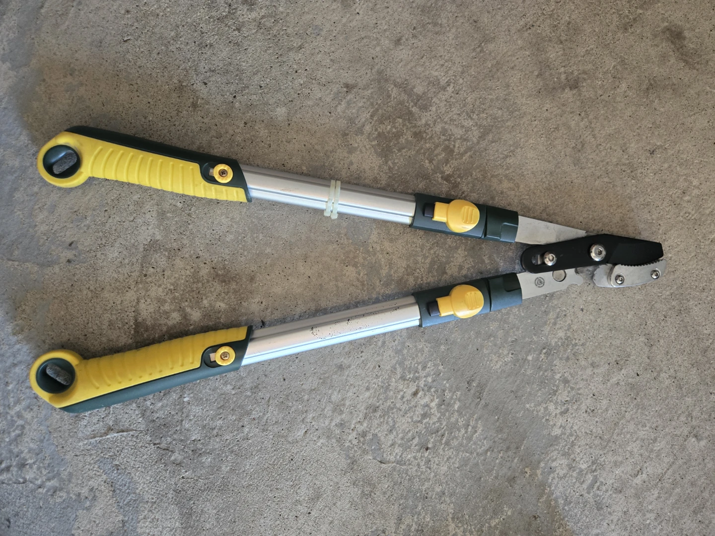 Gardening Shears