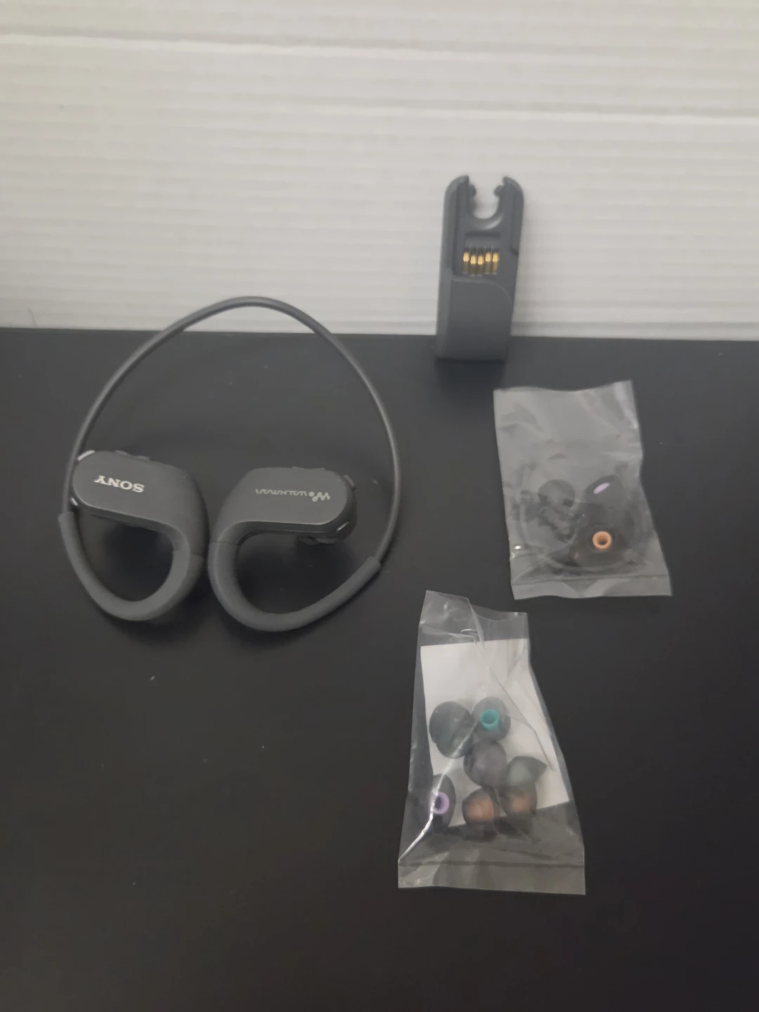Sony Walkman NW-WS413 Headphones