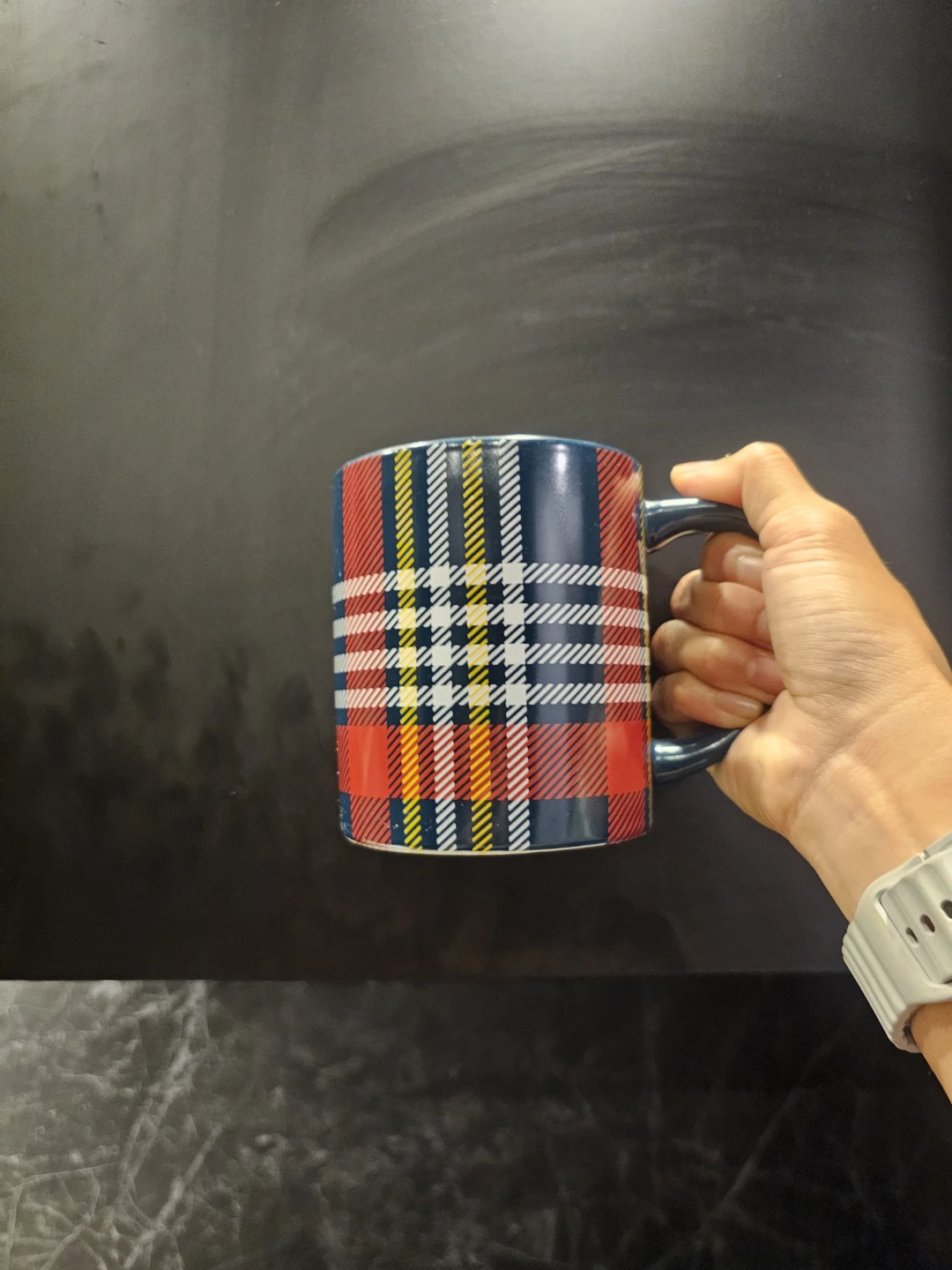 Indigo Plaid Mug