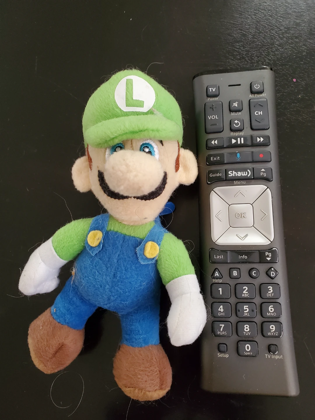 Luigi Doll - photo 4