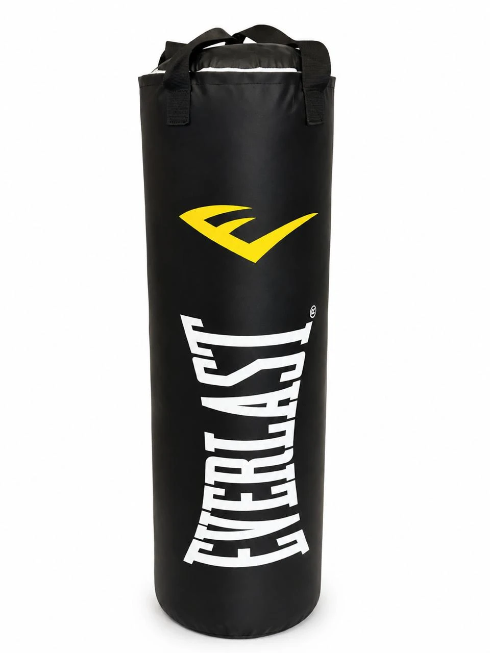 Everlast Training Gloves & Punching Bag Set