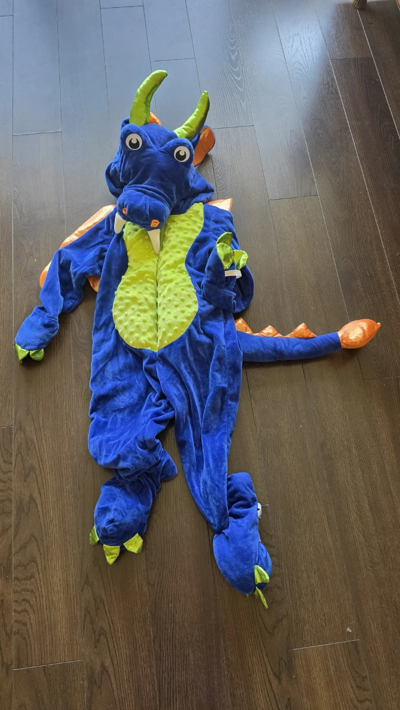 Dragon Costume