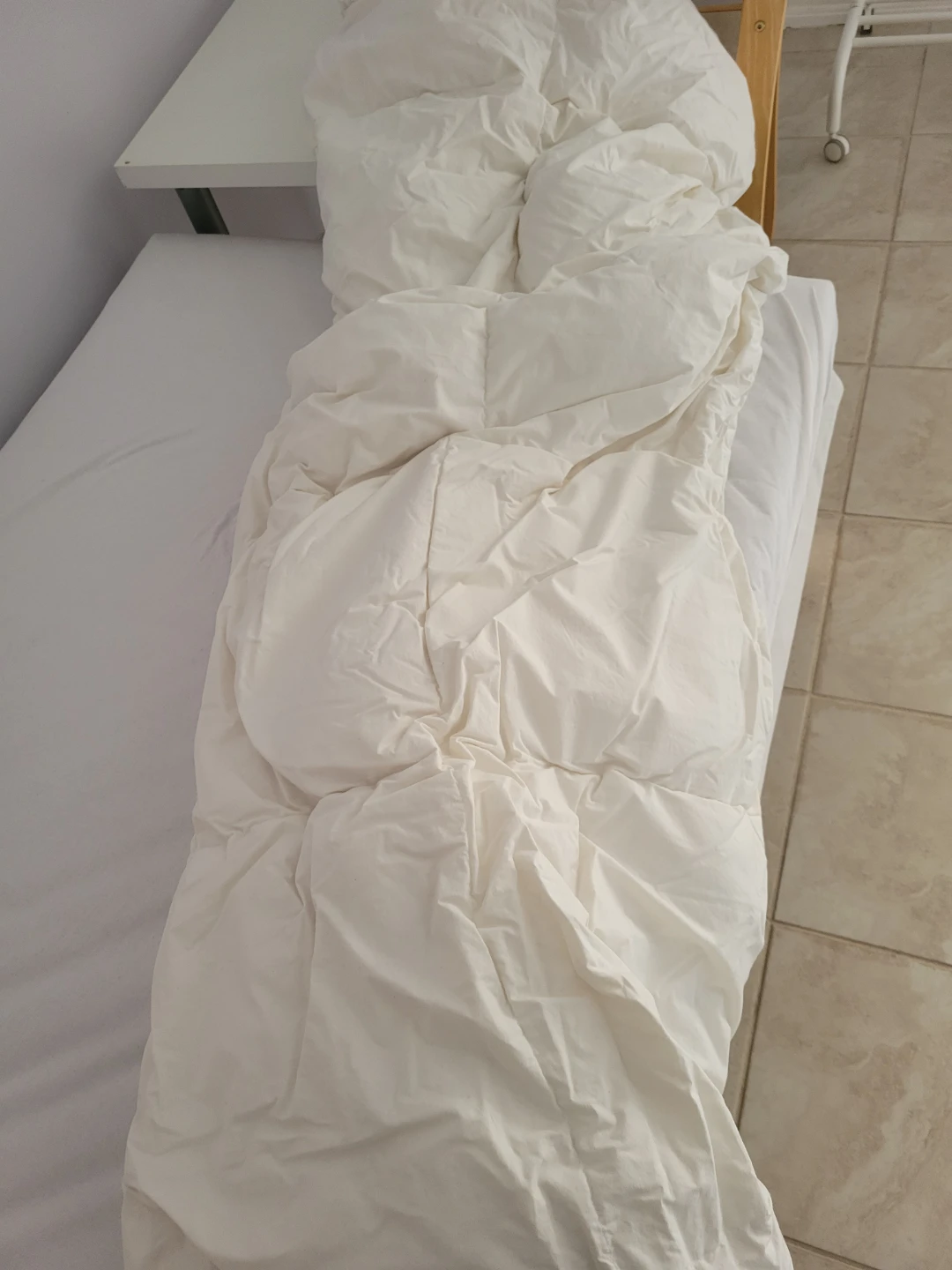 IKEA FJÄLLARNIKA Full/Queen Duvet Insert