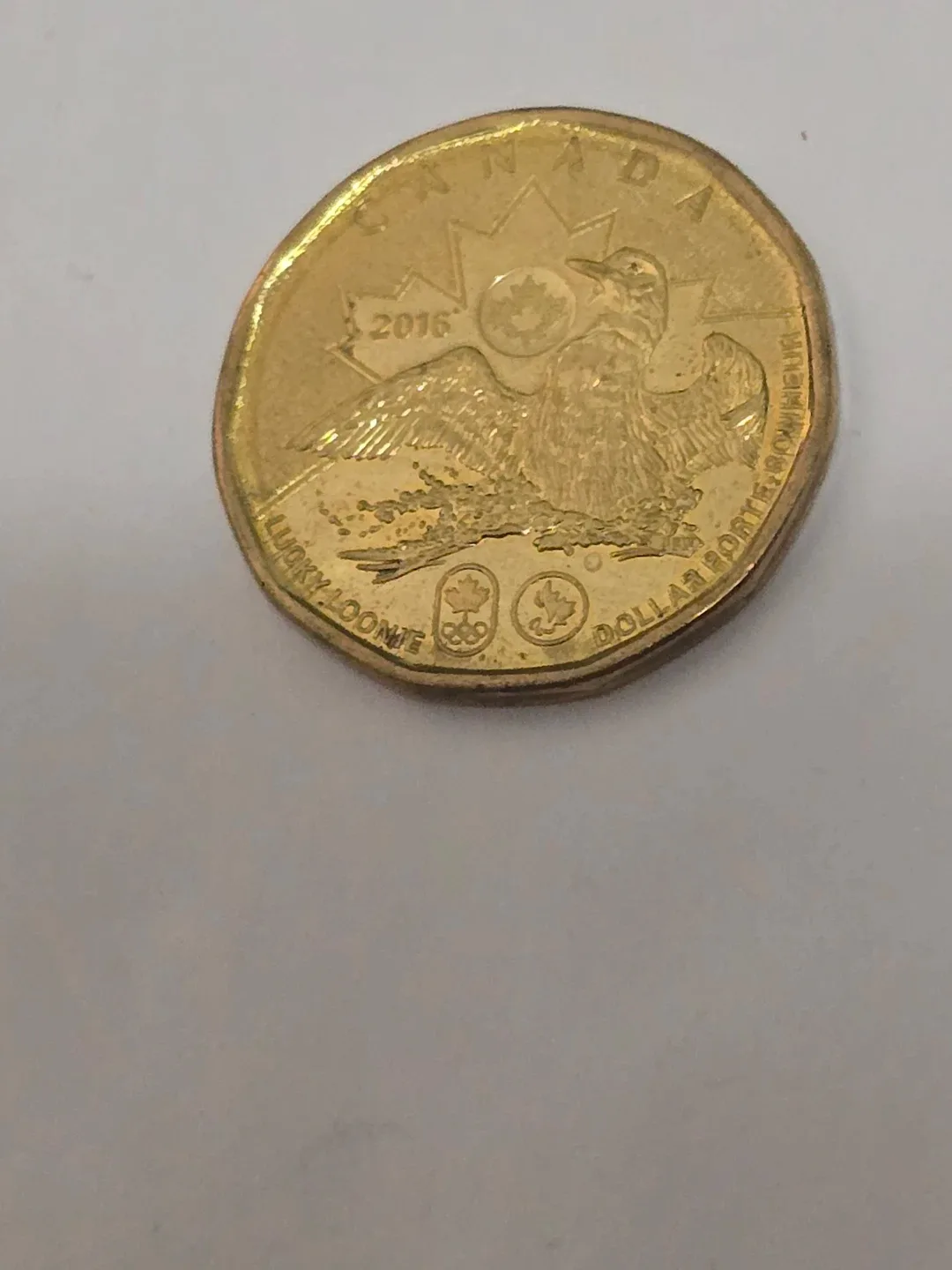 2016 Canada Lucky Loonie Dollar Coin
