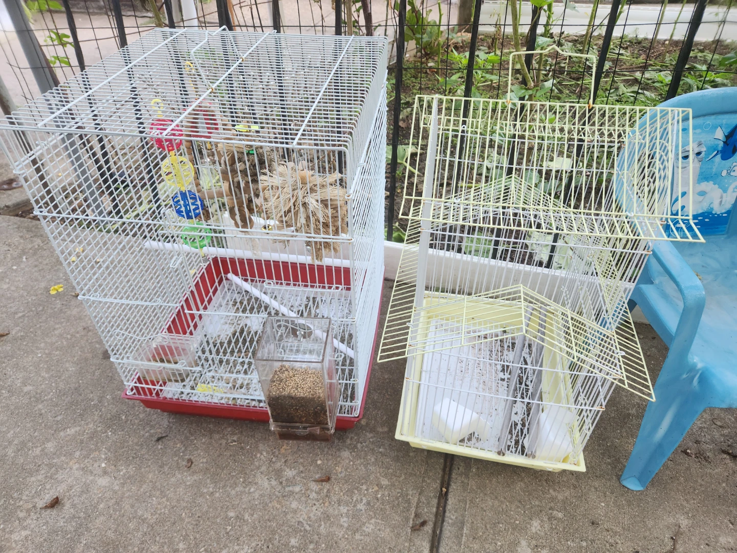 Two Bird Cages
