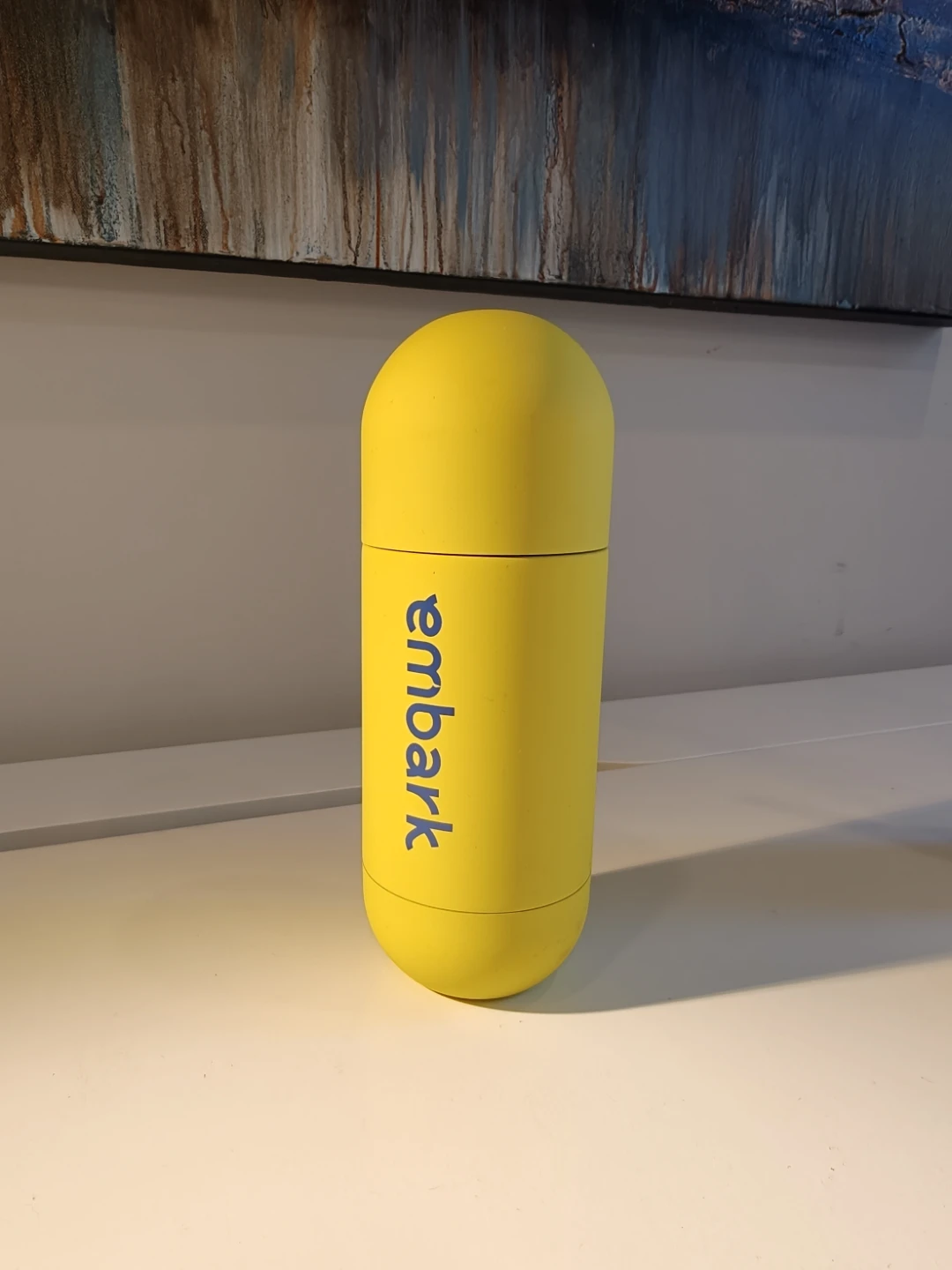 Yellow Embark Water Bottle