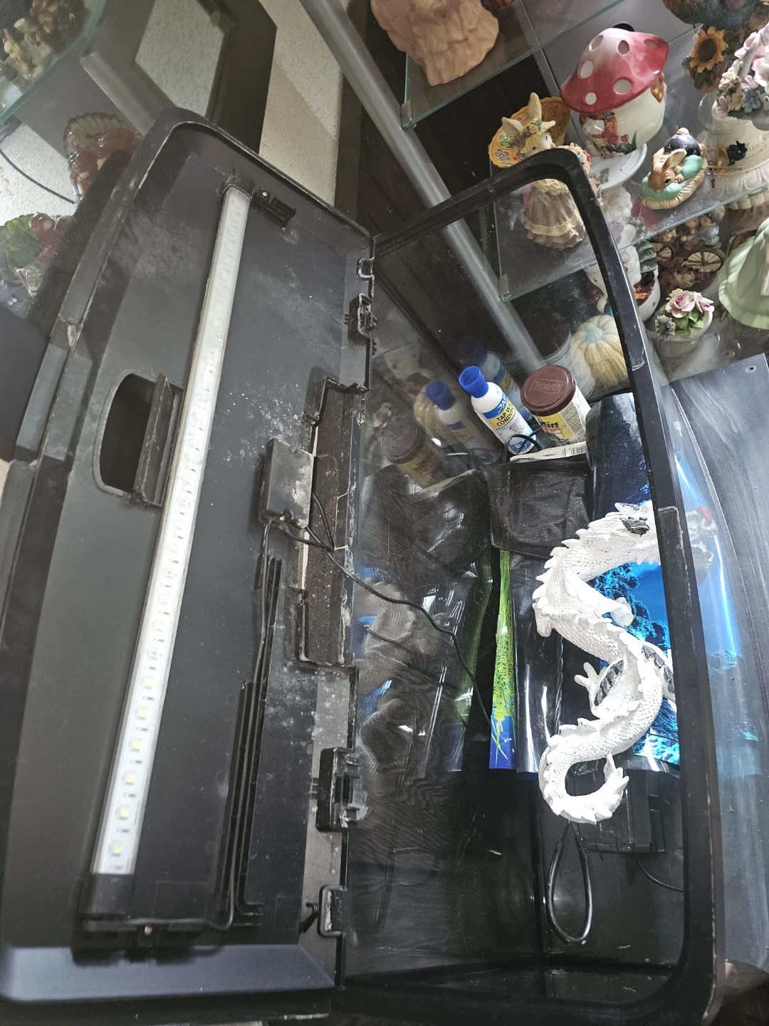 23 gallon fluval bowfront fish tank - photo 4