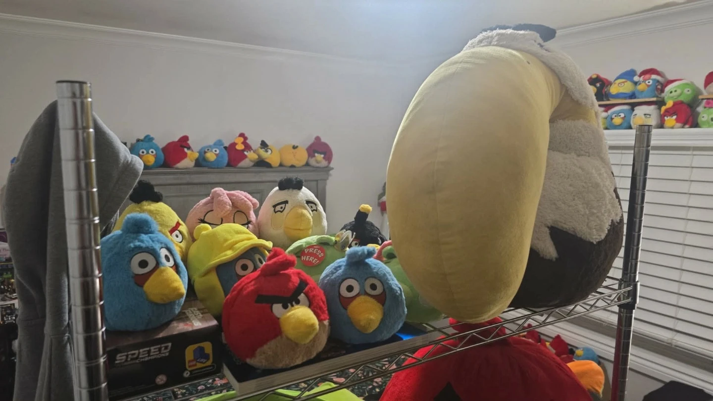 *Trading angry brids plush collection for pokemon products