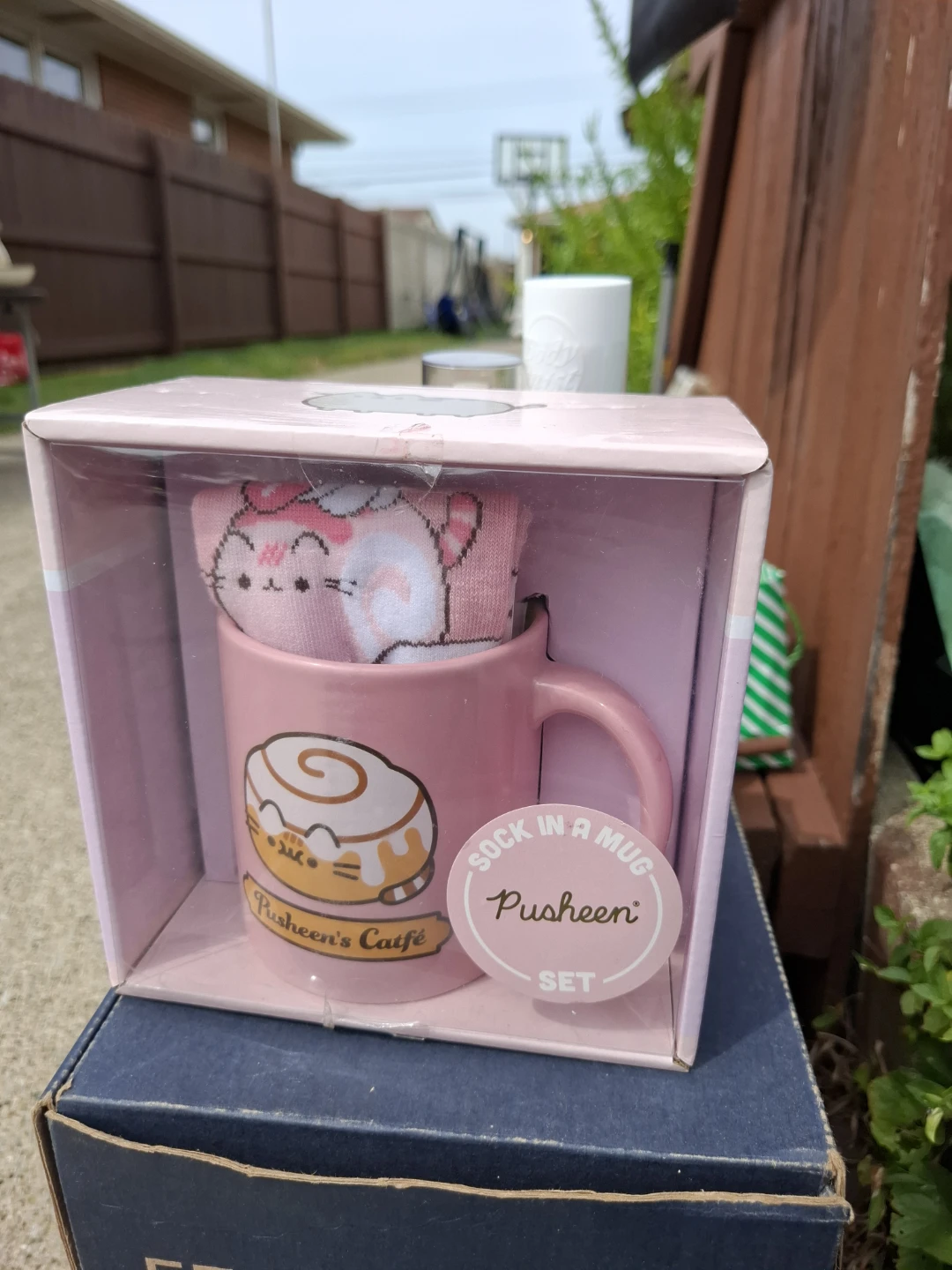 Pusheen Sock in a Mug Set